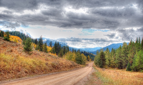 Fall Creek Road