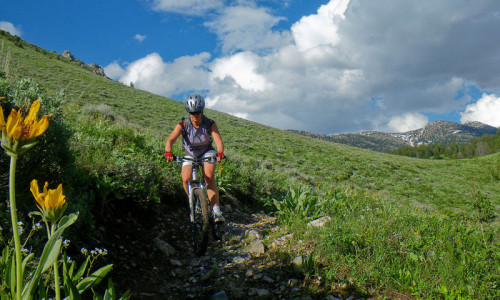 Biking & Bike Rentals