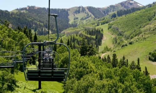Ziplines, Tram & Gondola Rides