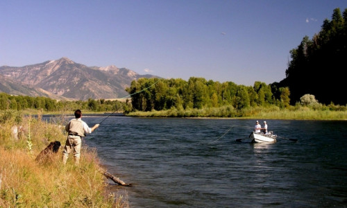 Swan Valley Activities