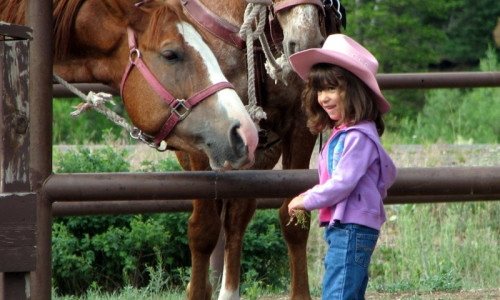 Kids Activities