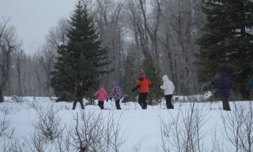 Snowshoeing